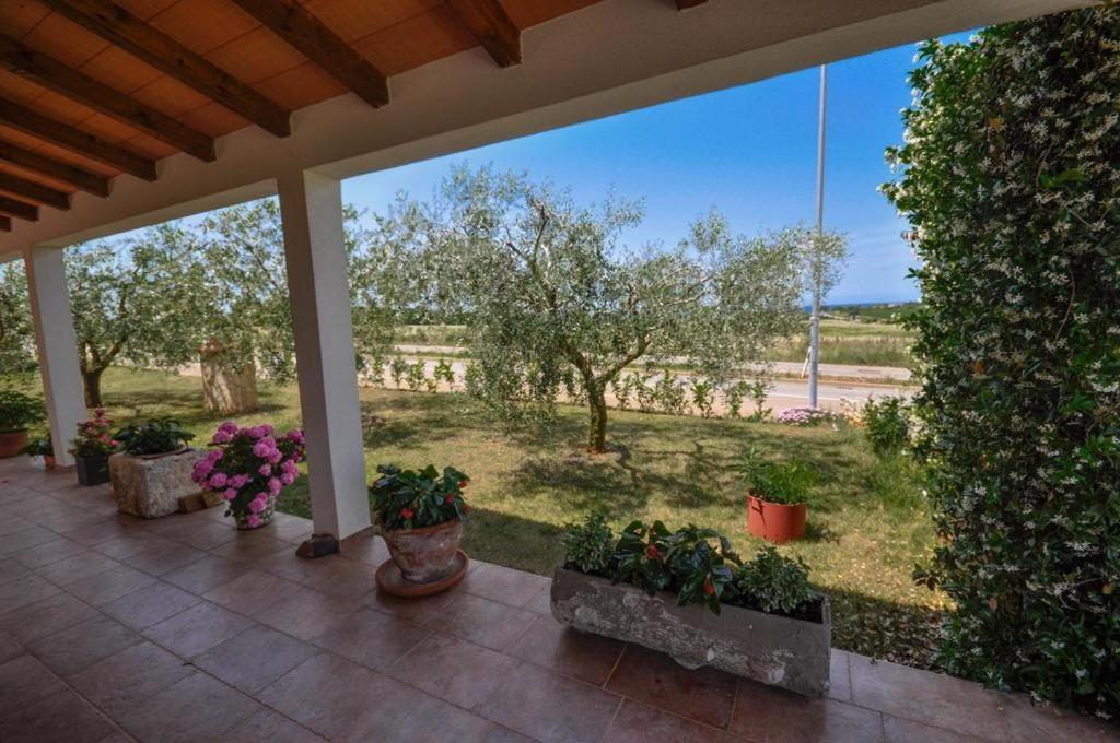 Angela Apartment Novigrad  Bagian luar foto