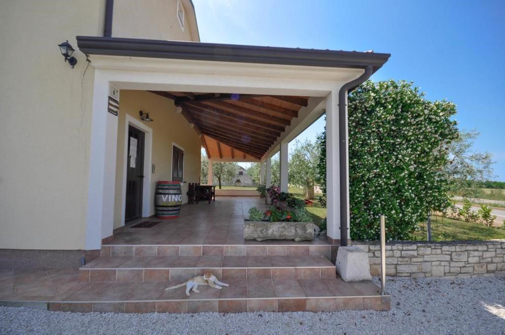 Angela Apartment Novigrad  Bagian luar foto