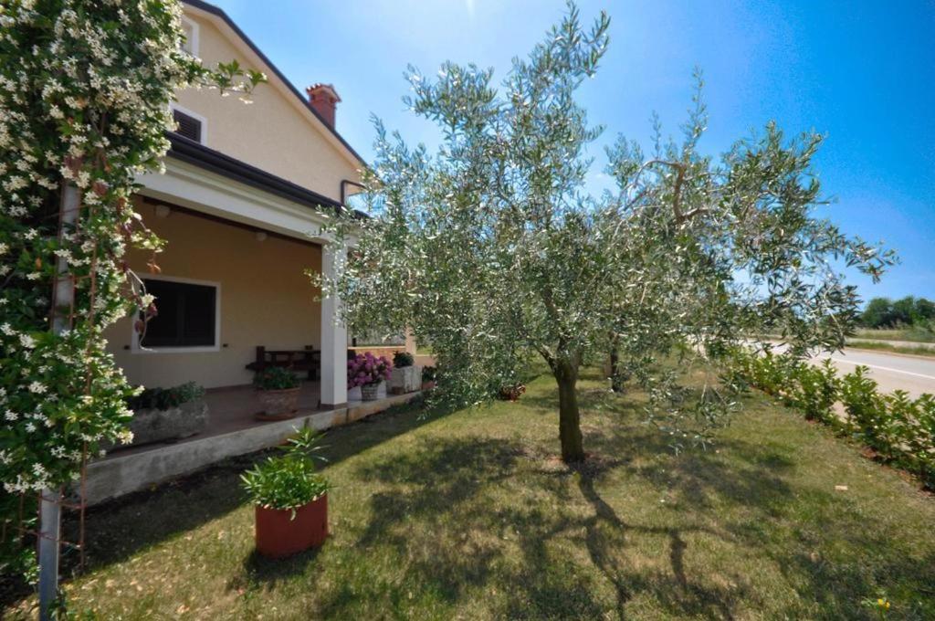 Angela Apartment Novigrad  Bagian luar foto